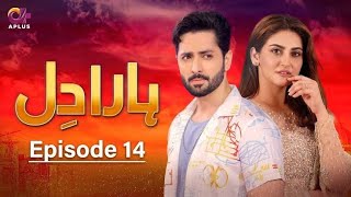 Haara Dil  Episode 14 Danish Taimoor Hiba Bukhari A Plus TV [upl. by Tolman]