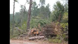 Tornado Damage New Hampshire 2008 [upl. by Geehan]