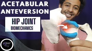 HIP JOINT PROXIMAL ARTICULATION HIP JOINT COMPLEX BIOMECHANICSPhysiotherapy Tutorials [upl. by Areek]