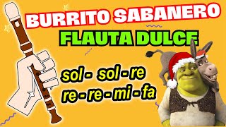 Mi Burrito sabanero ft SHREK 🤣  FLAUTA DULCE [upl. by Anilasor223]