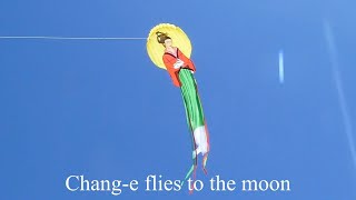 Beautiful quotChange flies to the moonquot kite [upl. by Gora500]