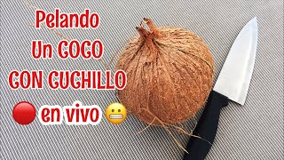 COMO PELAR UN COCO CON CUCHILLO EN CASA 🔴 en vivo 😬😬😬 [upl. by Reichel]