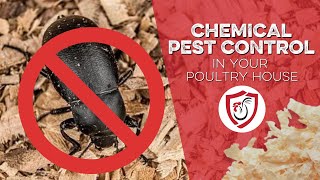 Chemical Pest Control in Your Poultry House [upl. by Sib657]