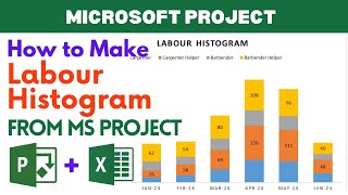 Microsoft Project and Excel  Labour Histogram  Construction Planning [upl. by Gord]