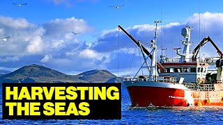 Life and Work On a Commercial FISHING Vessel  Full Documentary [upl. by Akirdnahs616]