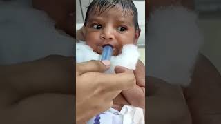 Little bird viralvideo cutebaby littleprince newbornbaby [upl. by Barr]