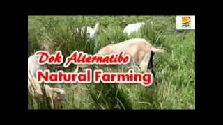 Dok Alternatibo Natural Farming EXPO Video [upl. by Gothurd]