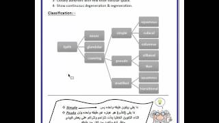 Simplified HIstology  Epithelium 1 شرح هستولوجي [upl. by Eilyab819]