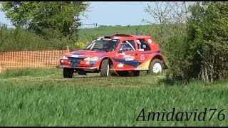 Foucart VincentPerrin ChristelleRivet 205 Proto Rallye tout terrain terres du Gatinais 2019 [upl. by Lerrej]