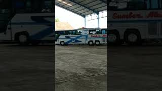 Bus Tronton Pertama Di Indonesia Limo Bus Po Sumber Alam [upl. by Lleon511]