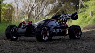 HSP 94107 110 24Ghz 4WD Off Road RTR RC Buggy Series [upl. by Repip]