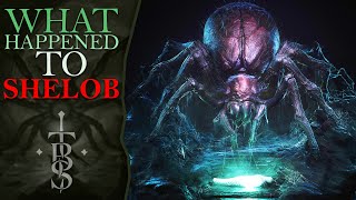 What Happened To SHELOB  Middle Earth Lore [upl. by Alyahc]