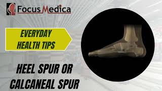 Heel spur or Calcaneal spur [upl. by Acemaj970]