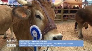 ANIMAUX  Les vaches Parthenaises défilent sur le ring [upl. by Michail345]