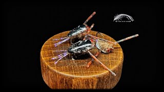 The Beauty Salon Backswimmer  An Instructional Fly Tying Video [upl. by Lleinnad]