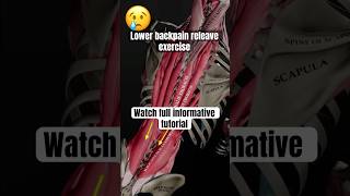 Lower backpain exercise 😱lowerbackpain backpain backworkout india pakistan america dubai [upl. by Dias235]