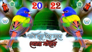 Pakhi hole Ure jetam sonar modina  পাখি হলে উরে যেতাম সোনার মদিনায়  Islamic Gojol  ABC Islamic BD [upl. by Shem]