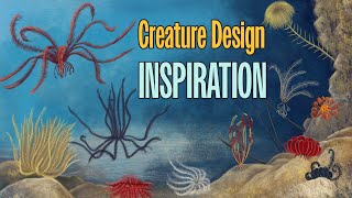 Studying Feather Stars Crinoids as Creature Design Inspiration [upl. by Warren]