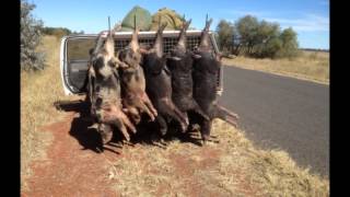 GOONDIWINDI PORK [upl. by Burnight]