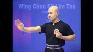 Wing Chun kung fu siu lim tao  form applications Lessons 110 [upl. by Ednihek]