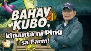 iPING TV Ping Lacson Farm Tour [upl. by Redyr885]