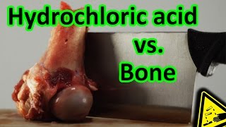 Hydrochloric Acid vs Bone total decomposition 🍖 [upl. by Harriott648]