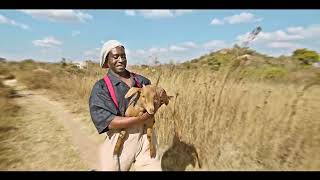 Baba Harare  Tsamba Yerufu Official Video [upl. by Jamima]