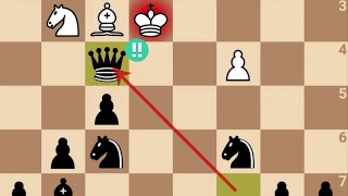 Bobby Fischers Rook amp Queen Sacrifices Lead to Epic Victory Against LetelierMartner [upl. by Annoif]