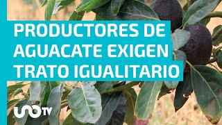 Productores de aguacate exigen trato igualitario por parte de inspectores [upl. by Duleba]