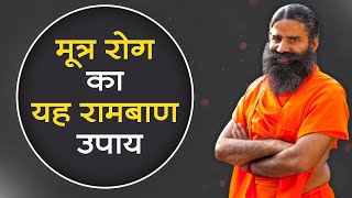 मूत्र रोग Urinary Disease का यह रामबाण उपाय  Swami Ramdev [upl. by Nesral]