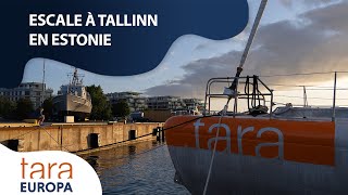 Escale de Tara à Tallinn en Estonie  lien entre les estoniens et la mer baltique  Tara Europa [upl. by Anaahs560]