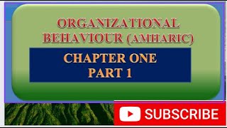 Organizational behavior Amharic 2023 [upl. by Silin393]