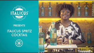 Ep5  ITALICUS SPRITZ COCKTAIL with LP OBrien [upl. by Parsifal422]