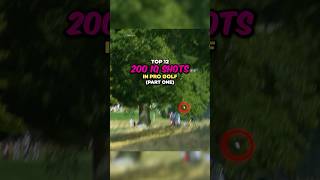 Top 12 200 IQ Shots in Pro Golf  Part 2 [upl. by Atinwahs769]