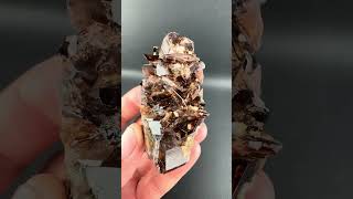 Axinite Cluster from Baluchistan Pakistan  Fine Art Minerals  axinite crystals specimens [upl. by Eizus]