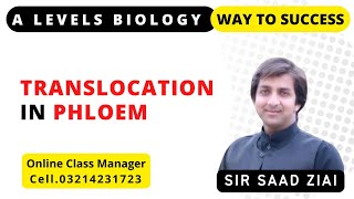 Translocation in phloem [upl. by Delbert]