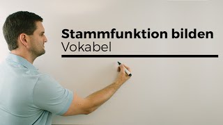 Stammfunktion bilden Vokabeln Aufleiten Integralrechnung  Mathe by Daniel Jung [upl. by Assira]