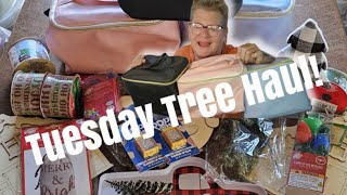 Tuesday Tree Haul 112624 christmas Haul christmasdecorations dollartree [upl. by Pazit]