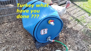 Farm biogas project Part 2 and a new animal waterer failed [upl. by Llevron]