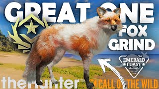 SHOCKING START to the EMERALD COAST FOX GRIND  Call of the Wild [upl. by Earesed]