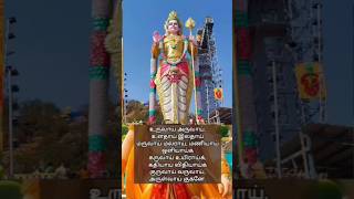 Om Saravana bhavaya shanmugaya saranam subscribe murugan shortsfeed devotionalsong [upl. by Gamaliel]