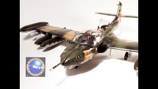 HASEGAWA 172 A37 DRAGONFLY FULL BUILT [upl. by Glori272]