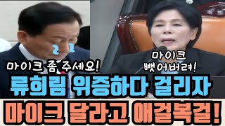 과방위 류희림 위증하다 걸리자 마이크 좀 제발 주세요 애걸복걸 [upl. by Eenehs]