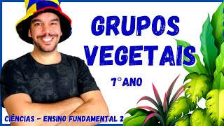 🌻Grupos Vegetais  Briófitas Pteridófitas Gimnospermas e Angiospermas  Aula Completa  Botânica [upl. by Carlie]