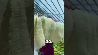 En China se fabrican zapatos con esta fruta😮 shortsvideo [upl. by Hgielsel]