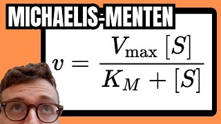 Michaelis Menten Equation Explained For Beginners [upl. by Wester]