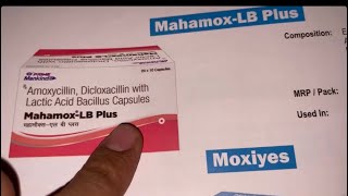 Mahamox LB Plus Tablet Full Information In Hindi  Uses  Side effects  Dosage [upl. by Aiek941]