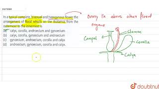 In a typical complete bisexual and hypogynous flower the arrangement of floral whorls on the [upl. by Philana635]