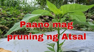 Paano mag pruning ng Atsal [upl. by Oiziruam]