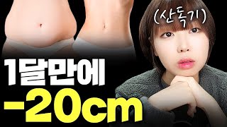 마름으로 쉽게 가는 법 1달 만에 허리 20cmㅣ다이어트 팩폭 [upl. by Aissej386]